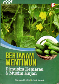 Image of BERTANAM MENTIMUN DI MUSIM KEMARAU & MUSIM HUJAN