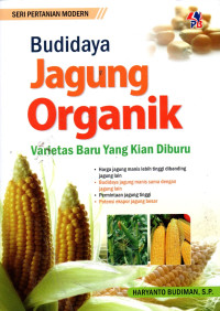 Image of Budidaya Jagung Organik Varietas Baru Yang Kian Diburu