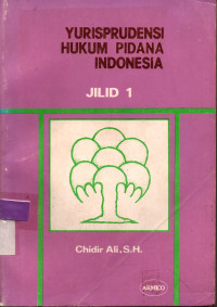 Image of YURISPRUDENSI HUKUM PIDANA INDONESIA